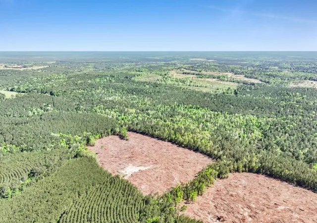 Homes for sale in Kirbyville, TX | 0000 County Road 425, Kirbyville, TX 75956 | MLS# 20647920