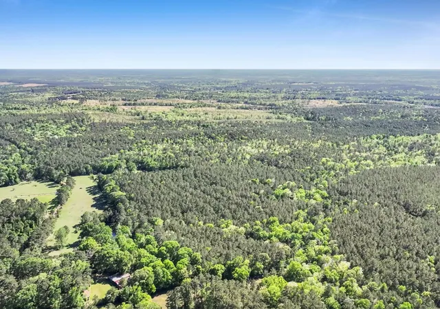 Homes for sale in Kirbyville, TX | 0000 County Road 425, Kirbyville, TX 75956 | MLS# 20647920