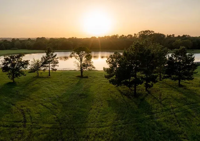 Photo 4 of Land for sale at 15229 Forest Grv Dr, Willis, TX 77378 | MLS# 13239741 | Listing updated on 2026-09-20