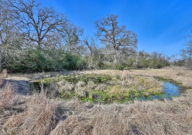 Photo 3 of Land for sale at 23600 Brazos Ests Rd, Hempstead, TX 77445 | MLS# 306415 | Listing updated on 2026-06-03