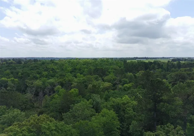15th image of Tract 133 Pr 1313, Centerville, TX 75833 | MLS# 76440902