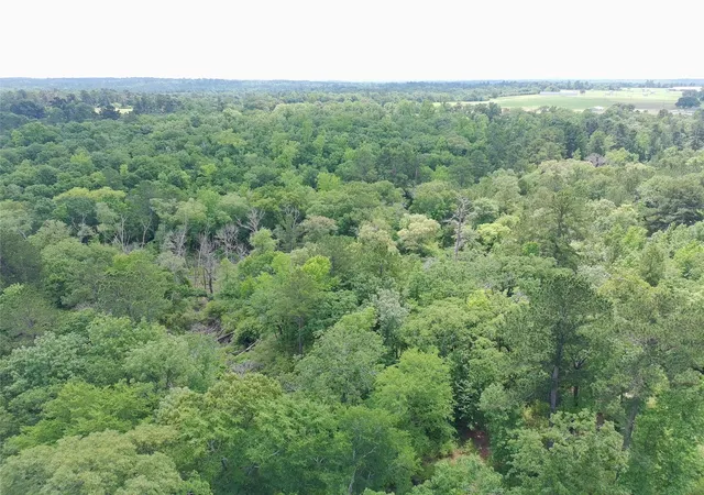 1st image of Tract 133 Pr 1313, Centerville, TX 75833 | MLS# 76440902