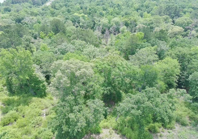 5th image of Tract 133 Pr 1313, Centerville, TX 75833 | MLS# 76440902
