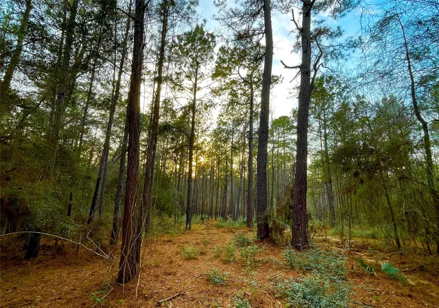 Photo 1 of Land for sale at 1 1 31 Texas Grand Rd, Huntsville, TX 77340 | MLS# 80794035 | Listing updated on 2026-08-24