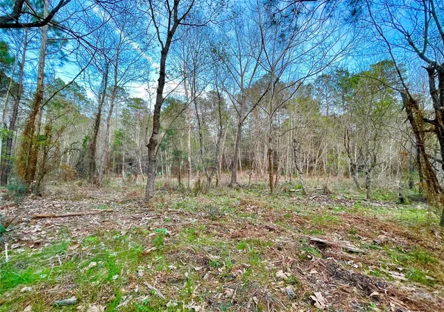 Photo 2 of Land for sale at 1 1 31 Texas Grand Rd, Huntsville, TX 77340 | MLS# 80794035 | Listing updated on 2026-08-24