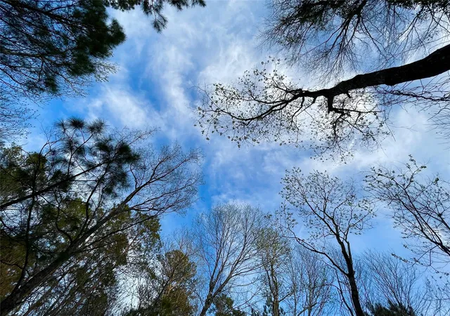 Photo 3 of Land for sale at 1 1 31 Texas Grand Rd, Huntsville, TX 77340 | MLS# 80794035 | Listing updated on 2026-08-24