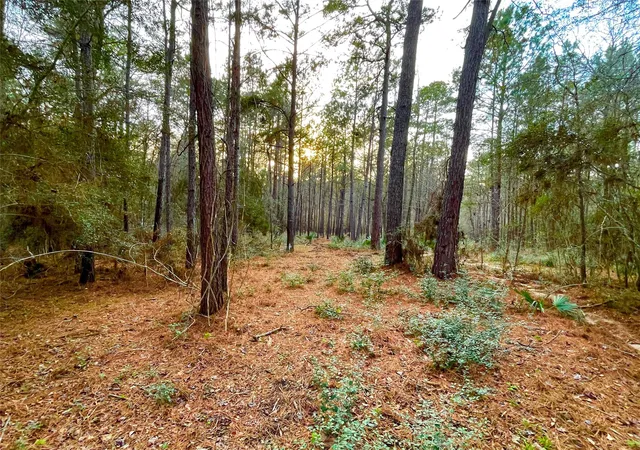 Photo 3 of Land for sale at 1-1-31 Texas Grand Rd, Huntsville, TX 77340 | MLS# 80794035 | Listing updated on 2026-08-24
