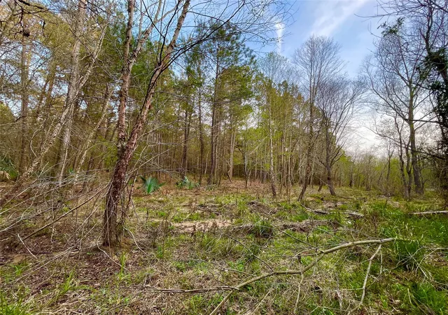 Photo 4 of Land for sale at 1-1-31 Texas Grand Rd, Huntsville, TX 77340 | MLS# 80794035 | Listing updated on 2026-08-24
