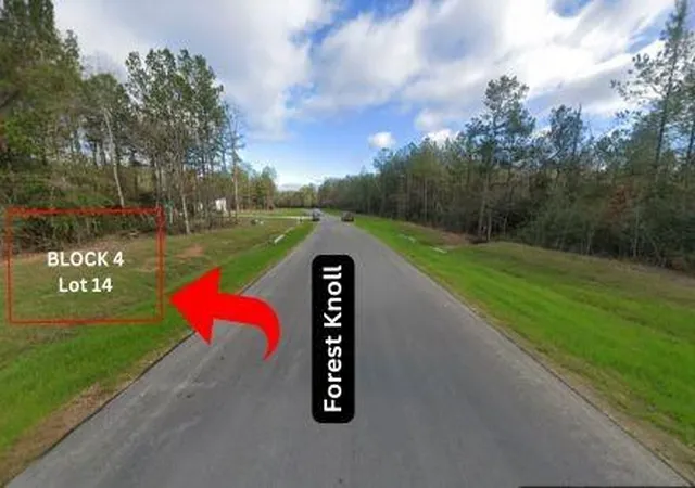 3rd image of 15628 Forest Knoll Rd, Willis, TX 77378 | MLS# 80409288