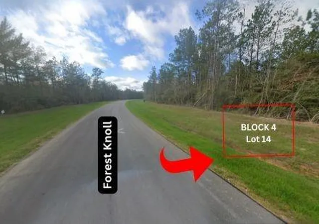 4th image of 15628 Forest Knoll Rd, Willis, TX 77378 | MLS# 80409288