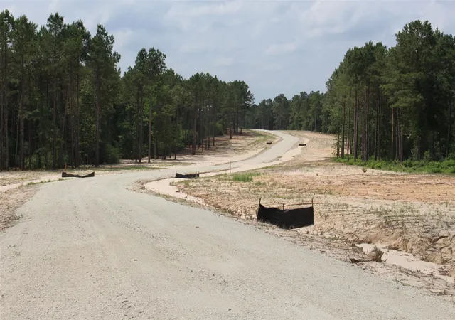 15th image of Tract 32 County Road 2170, Grapeland, TX 75844 | MLS# 65021853