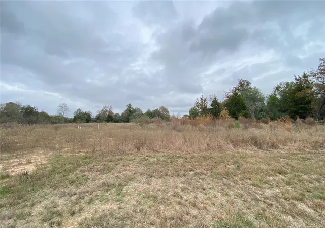 Photo 3 of Land for sale at 000 25th Street, Hempstead, TX 77445 | MLS# 91510035 | Listing updated on 2026-06-25