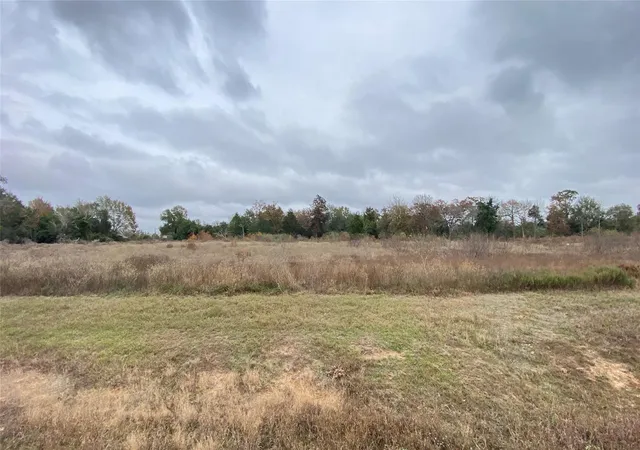 Photo 3 of Land for sale at 000 25th Street, Hempstead, TX 77445 | MLS# 91510035 | Listing updated on 2026-06-25