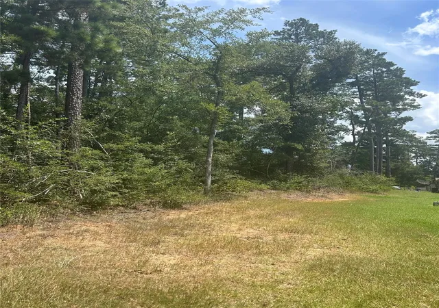 Photo 3 of Land for sale at 15814 Cottonwood Dr, Montgomery, TX 77356 | MLS# 26926857 | Listing updated on 2026-07-22