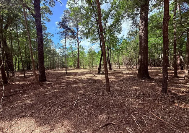 13th image of 0 Daniel St, Magnolia, TX 77354 | MLS# 85442241