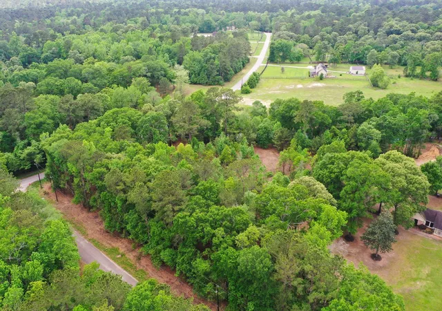 1st image of 0 Daniel St, Magnolia, TX 77354 | MLS# 85442241