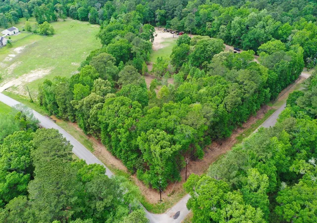 3rd image of 0 Daniel St, Magnolia, TX 77354 | MLS# 85442241