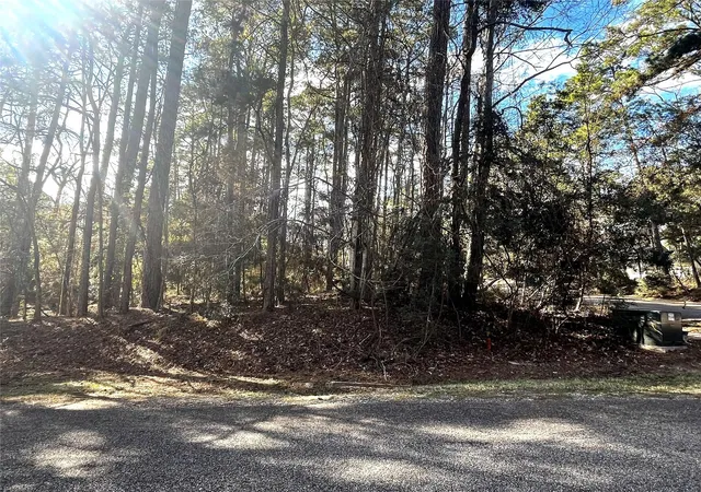 Photo 1 of Land for sale at 179 Green Tree Dr, Coldspring, TX 77331 | MLS# 33572670 | Listing updated on 2026-07-15