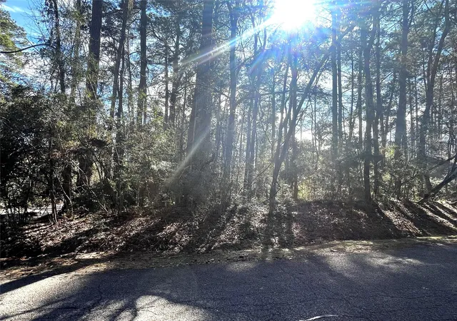 Photo 2 of Land for sale at 179 Green Tree Dr, Coldspring, TX 77331 | MLS# 33572670 | Listing updated on 2026-07-15