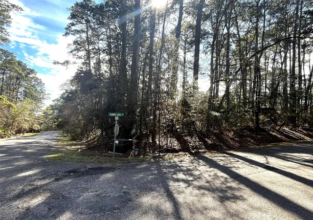 Photo 3 of Land for sale at 179 Green Tree Dr, Coldspring, TX 77331 | MLS# 33572670 | Listing updated on 2026-07-15