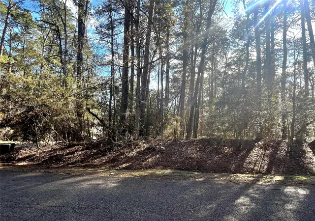 Photo 3 of Land for sale at 179 Green Tree Dr, Coldspring, TX 77331 | MLS# 33572670 | Listing updated on 2026-07-15