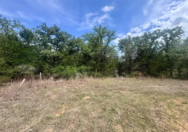 Homes for sale in Somerville, TX | 405 Possum Run, Somerville, TX 77879 | MLS# 26718076