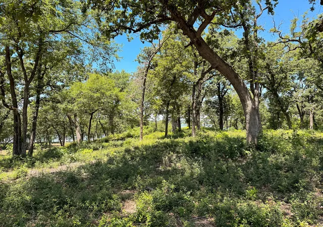 Homes for sale in Jewett, TX | Na Lcr 882, Jewett, TX 75846 | MLS# 70184562