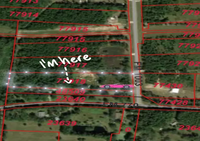 Homes for sale in Kountze, TX | N/A Fm 1003, Kountze, TX 77625 | MLS# 47202672