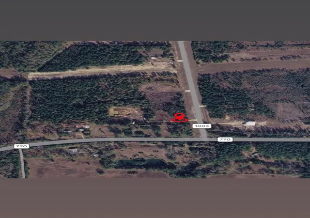 Homes for sale in Kountze, TX | N/a Fm 1003, Kountze, TX 77625 | MLS# 47202672