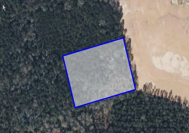 Photo 4 of Land for sale at Tbd Tract 24B, 5Ac, Splendora, TX 77372 | MLS# 90489496 | Listing updated on 2026-05-27