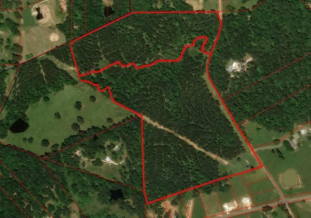Photo 1 of Land for sale at Tract 129/130 Fenley Flt Rd, Pollok, TX 75969 | MLS# 53660606 | Listing updated on 2026-08-06