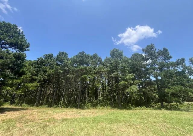 Photo 2 of Land for sale at Tract 129/130 Fenley Flt Rd, Pollok, TX 75969 | MLS# 53660606 | Listing updated on 2026-08-06
