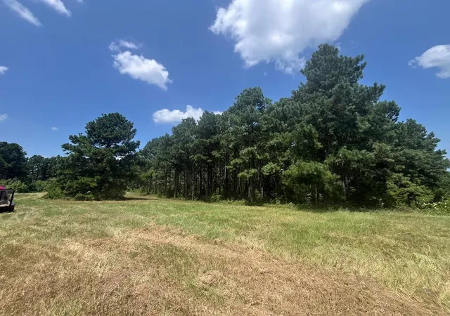 Photo 3 of Land for sale at Tract 129/130 Fenley Flt Rd, Pollok, TX 75969 | MLS# 53660606 | Listing updated on 2026-08-06