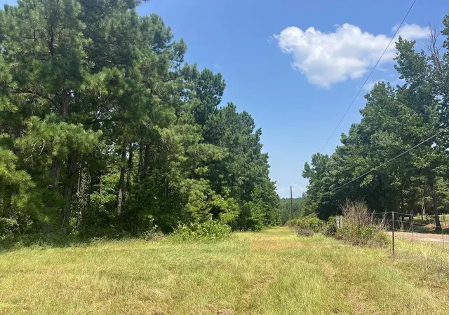 Photo 3 of Land for sale at Tract 129/130 Fenley Flt Rd, Pollok, TX 75969 | MLS# 53660606 | Listing updated on 2026-08-06