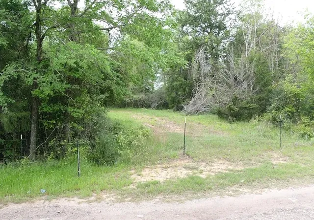 Photo 7 of Land for sale at 1224 S State St, Madisonville, TX 77864 | MLS# 51644588 | Listing updated on 2026-08-05