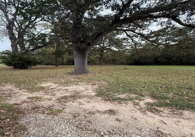 Photo 3 of Land for sale at 0 Sequoia Dr, Livingston, TX 77351 | MLS# 76363092 | Listing updated on 2025-12-25