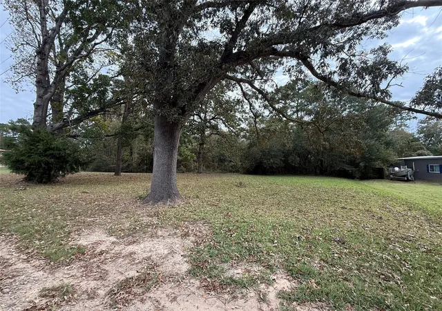 Photo 4 of Land for sale at 0 Sequoia Dr, Livingston, TX 77351 | MLS# 76363092 | Listing updated on 2025-12-25
