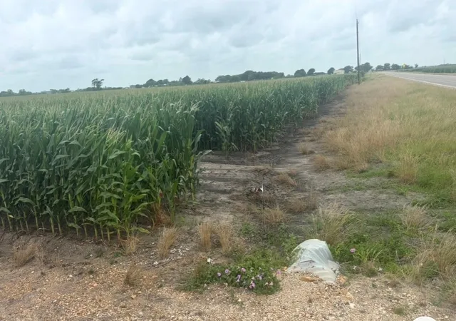 Photo 1 of Land for sale at 0 Fm 1162, El Campo, TX 77437 | MLS# 65814904 | Listing updated on 2026-05-27