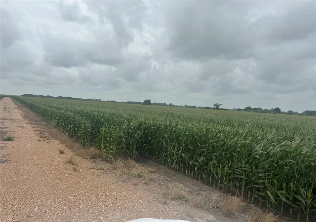 Photo 2 of Land for sale at 0 Fm 1162, El Campo, TX 77437 | MLS# 65814904 | Listing updated on 2026-05-27
