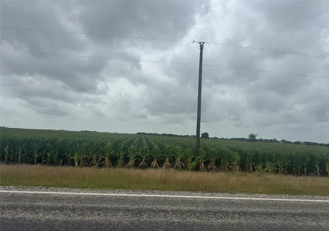 Photo 3 of Land for sale at 0 Fm 1162, El Campo, TX 77437 | MLS# 65814904 | Listing updated on 2026-05-27