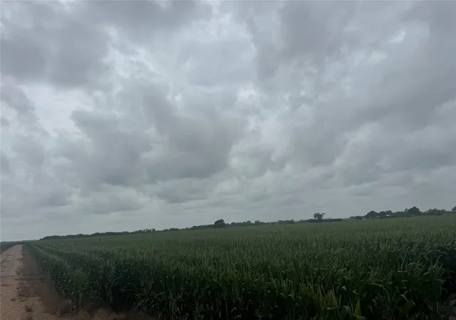 Photo 3 of Land for sale at 0 Fm 1162, El Campo, TX 77437 | MLS# 65814904 | Listing updated on 2026-05-27