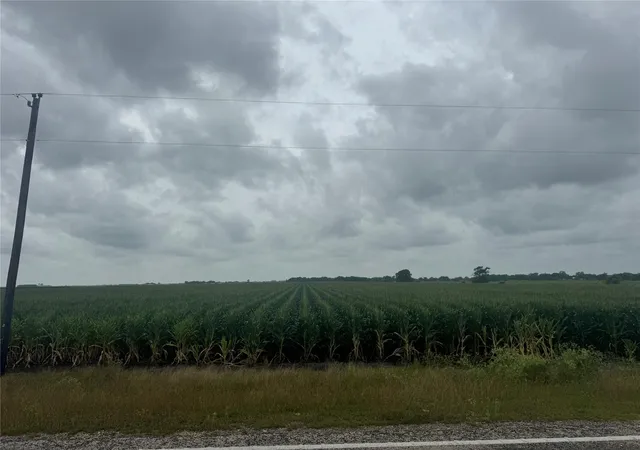 Photo 4 of Land for sale at 0 Fm 1162, El Campo, TX 77437 | MLS# 65814904 | Listing updated on 2026-05-27