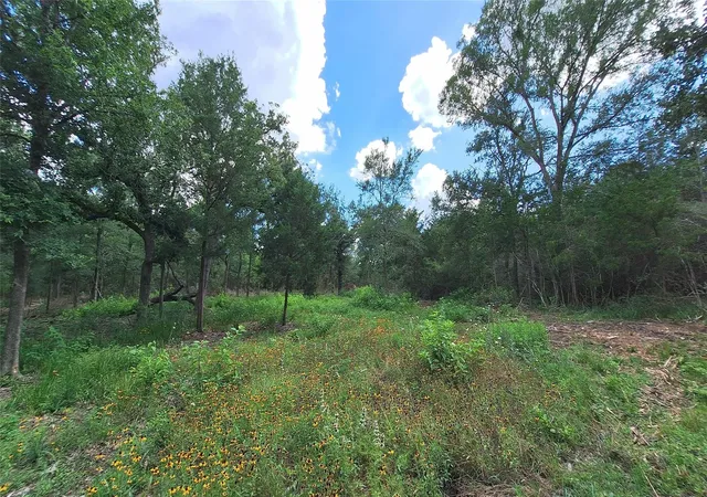 Homes for sale in Caldwell, TX | 1014 Beaver Lake Dr, Caldwell, TX 77836 | MLS# 56949789