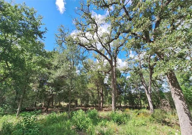Homes for sale in Caldwell, TX | 1014 Beaver Lake Dr, Caldwell, TX 77836 | MLS# 56949789