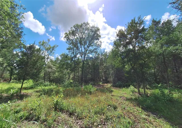 Homes for sale in Caldwell, TX | 1014 Beaver Lake Dr, Caldwell, TX 77836 | MLS# 56949789