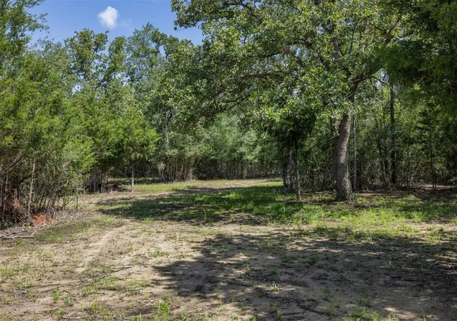 Photo 4 of Land for sale at 7132 Serenity Ranch Rd, Somerville, TX 77879 | MLS# 73478355 | Listing updated on 2026-06-05