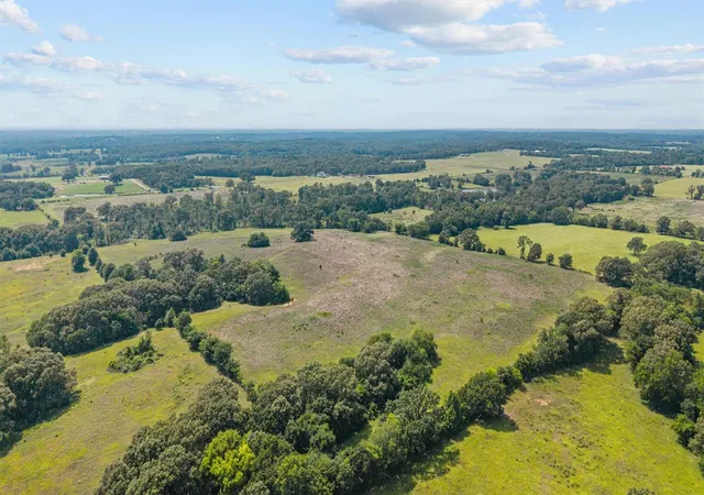 Homes for sale in Brownsboro, TX | 13150 County Road 3514, Brownsboro, TX 75756 | MLS# 53516957