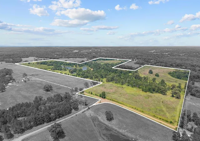 Homes for sale in Brownsboro, TX | 13150 County Road 3514, Brownsboro, TX 75756 | MLS# 53516957
