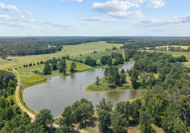 Homes for sale in Brownsboro, TX | 13150 County Road 3514, Brownsboro, TX 75756 | MLS# 53516957