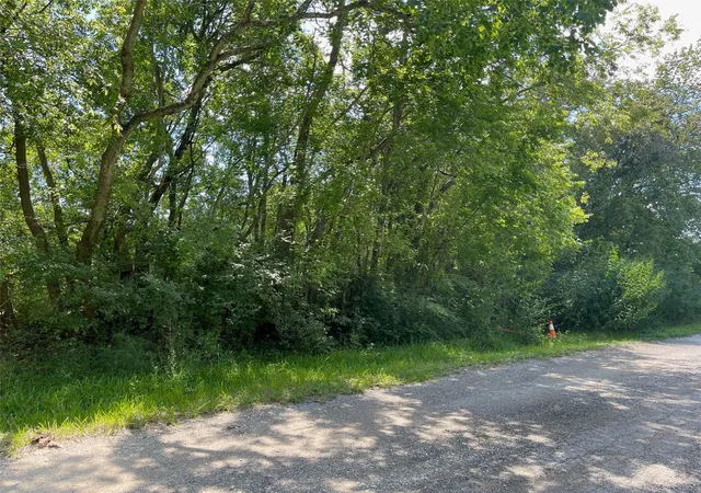 Photo 1 of Land for sale at 0 Beasley Ave, Hitchcock, TX 77563 | MLS# 87712978 | Listing updated on 2026-05-27